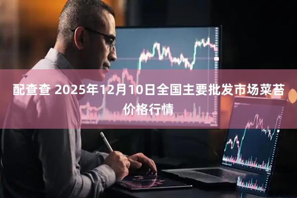 配查查 2025年12月10日全国主要批发市场菜苔价格行情