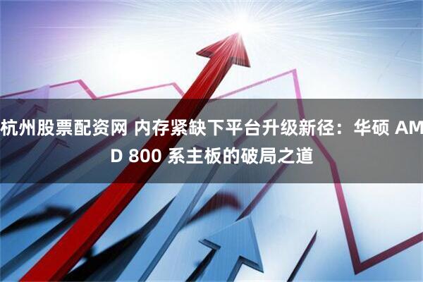 杭州股票配资网 内存紧缺下平台升级新径：华硕 AMD 800 系主板的破局之道